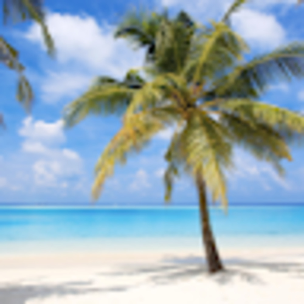 Meet your Posher, Fr